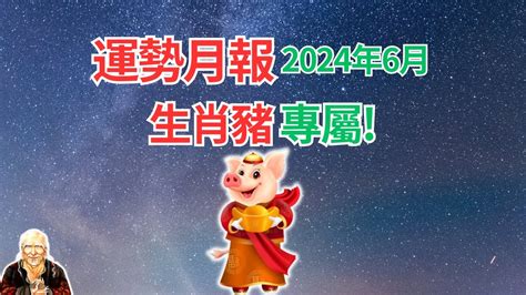 2024年生肖豬運程